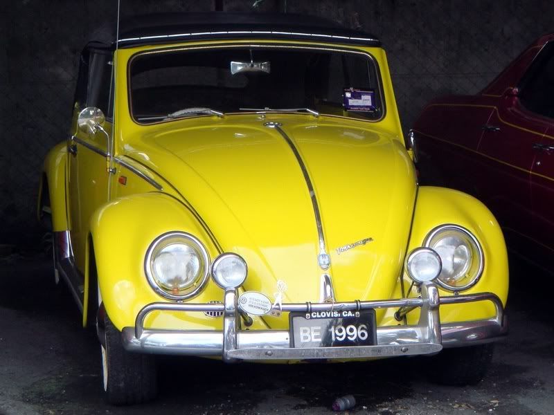 vw1.jpg